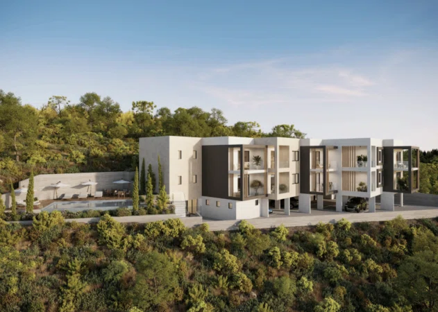 Konia Aura by Domenica