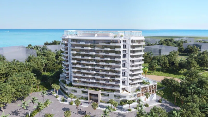 Dream Life by Nova Power