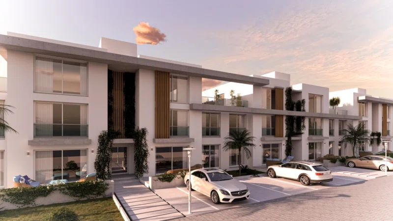 Olive Court 2